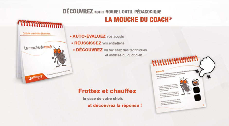 effi_calepin-941x519